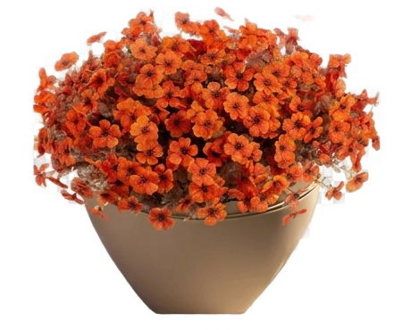 HALLOWEEN FLOWERS